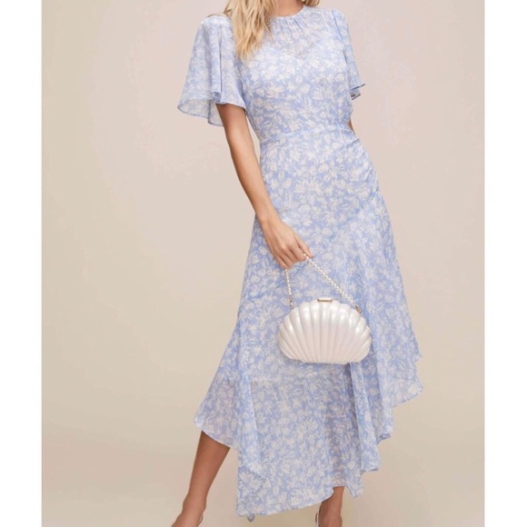 Astr Dresses & Skirts - ✨ASTR FLUTTER SLEEVE FLORAL MAXI DRES